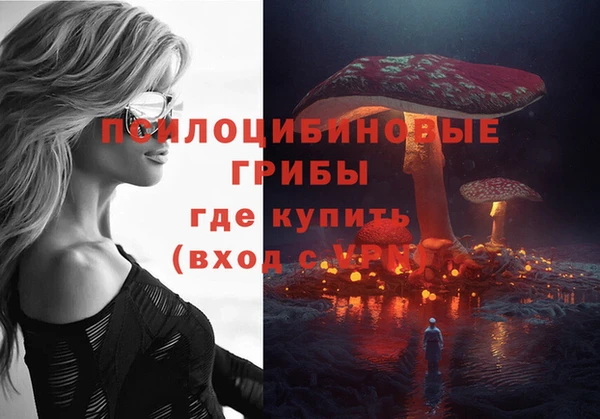 MDMA Premium VHQ Каменск-Шахтинский