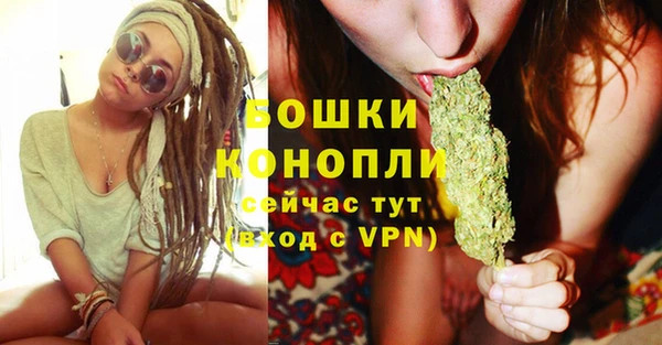 молекула духа Каменногорск