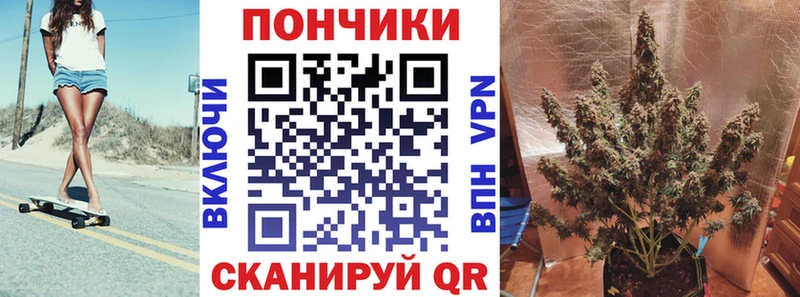 Шишки марихуана AK-47  Купить закладки  Гвардейск 